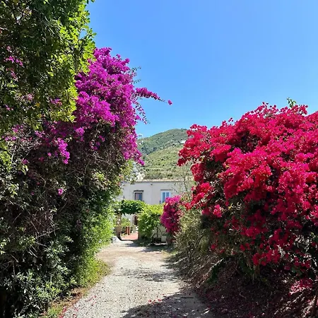 Tiche Casa de hóspedes Cefalù